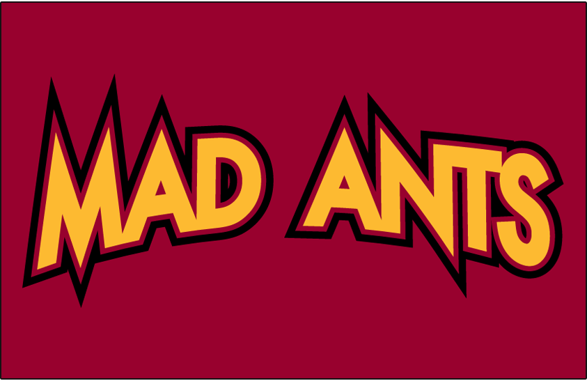 Fort Wayne Mad Ants 2006-2017 Jersey Logo iron on transfers for T-shirts